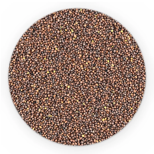 Hořčičné Semínko Tmavé Calé - Velké-1