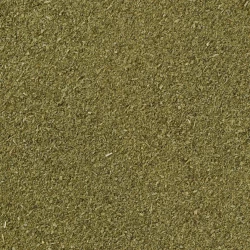 Rozmarýn Mletý - Velké