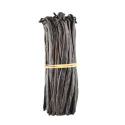 Vanilka Pravá Lusk Uganda Gourmet 14-16 cm - Velké-1