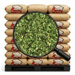 Česnek Medvědí Sušený - Velké