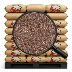 Hořčičné Semínko Tmavé Calé - Velké