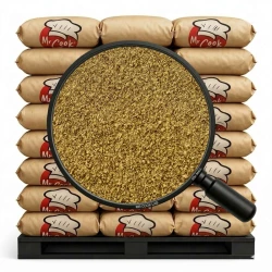 Zázvor Mletý - Velké