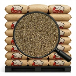 Kmín Celý - Velké