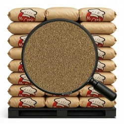 Koriandr Mletý - Velké