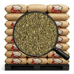 Fenykl Celý - Velké