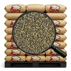 Levandule Květ - Velké