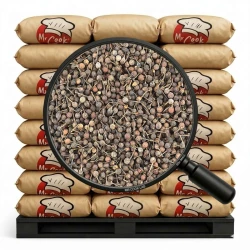 Pepř Bourbonský Voatsiperifery Jungle Pepper (Borbonese) - Velké