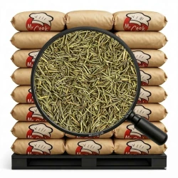 Rozmarýn Jehličky - Velké