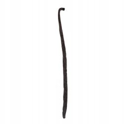 Vanilka Pravá Bourbon Lusk Madagaskar 14-16 cm - Premium Line 20szt Doypack