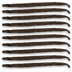 Vanilka Pravá Bourbon Lusk Uganda Gourmet 12-14 cm - Premium Line 10szt Woreczek próżniowy