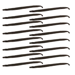 Vanilka Pravá Bourbon Lusk Uganda Gourmet 12-14 cm - Premium Line 16szt Woreczek próżniowy