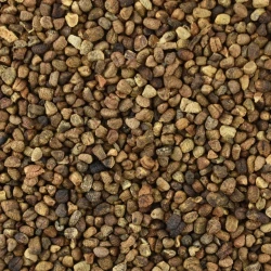 Kardamon Zrnný (Celý), Čištěná Řada - Velké