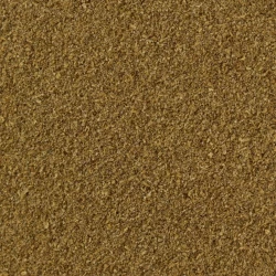 Koriandr Mletý - Velké