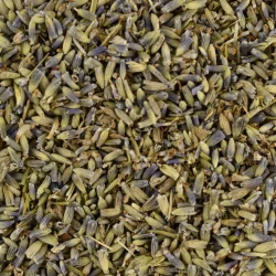 Levandule Květ - Velké